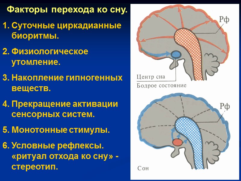 Факторы перехода ко сну. Суточные циркадианные биоритмы. Физиологическое утомление. Накопление гипногенных веществ. Прекращение активации